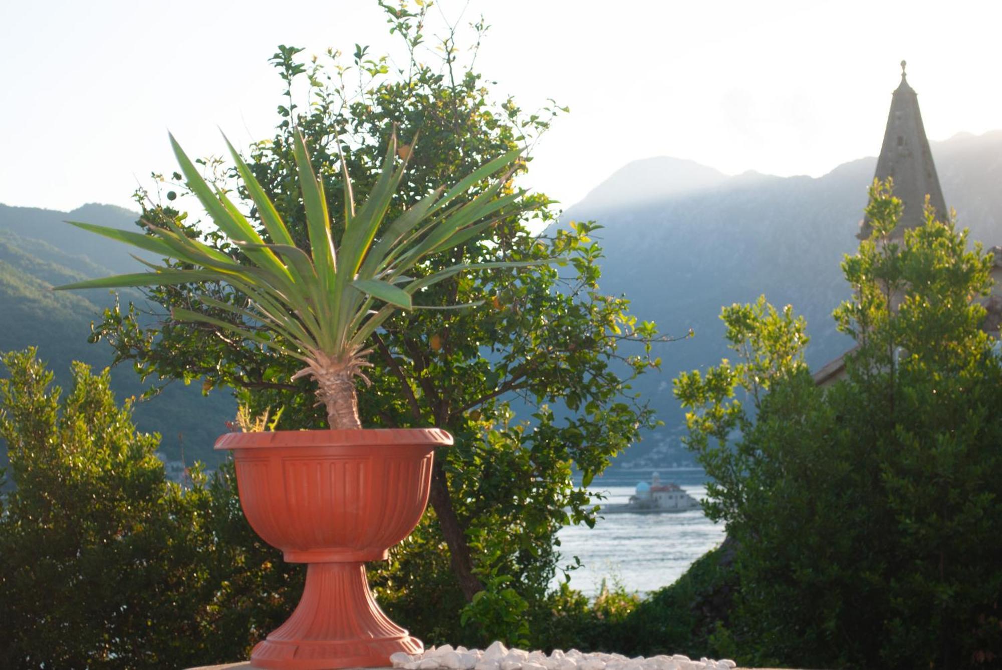 Apartment Mediterraneo Seagull Perast Luaran gambar